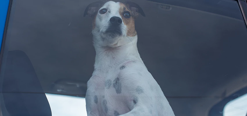 Car Lockout Solutions in Perris, California